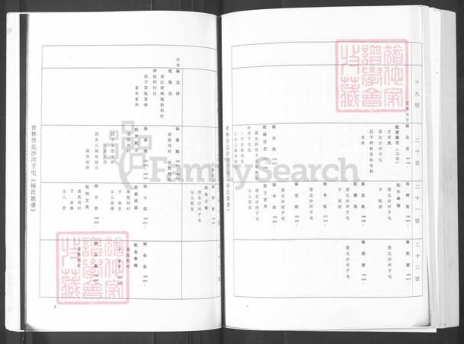 山东省烟台市栖霞市杨氏族谱-吉林市北沙河子屯(杨氏族谱).pdf电子版插图4
