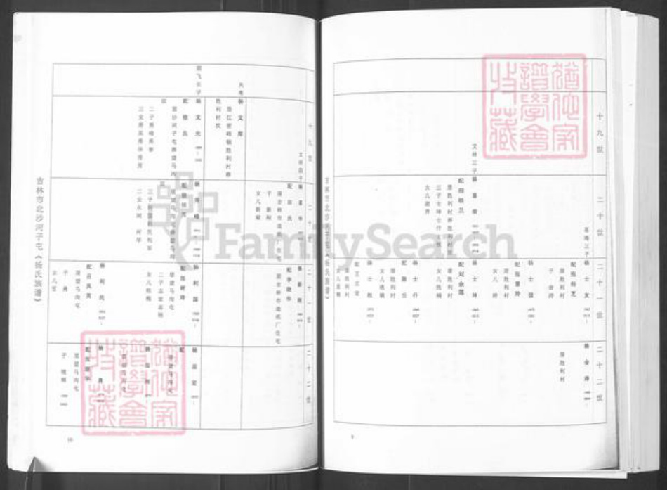 山东省烟台市栖霞市杨氏族谱-吉林市北沙河子屯(杨氏族谱).pdf电子版插图5