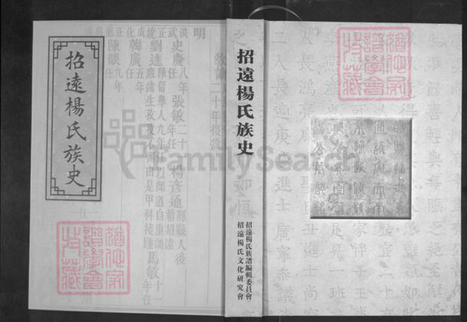 山东省烟台市招远市罗峰街道杨氏四知堂族谱-招远杨氏族谱.族史卷.pdf电子版