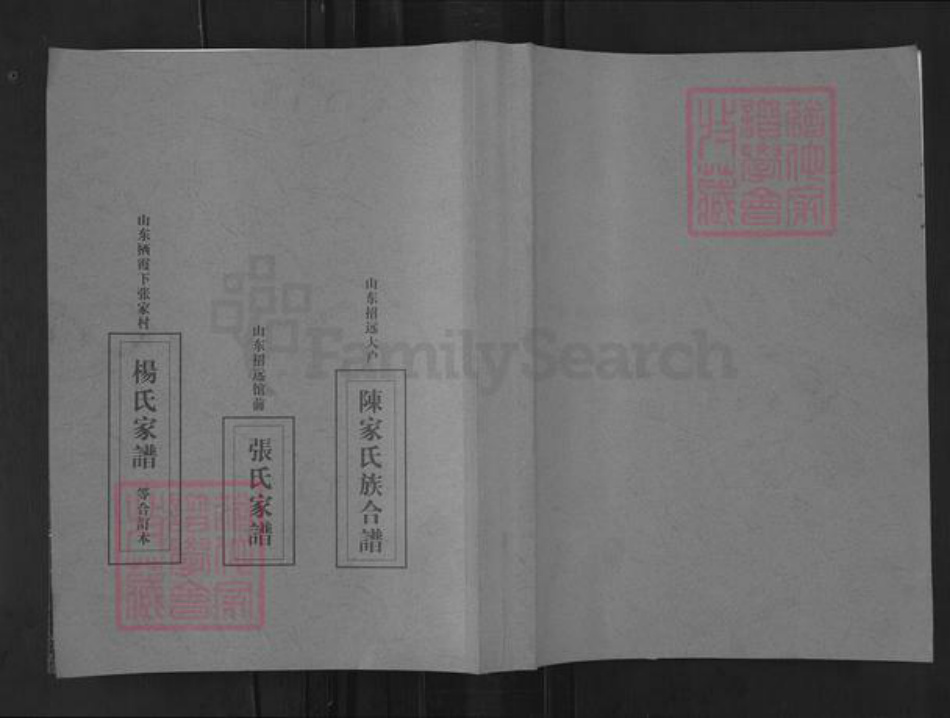 山东省烟台市莱州市柞村镇杨氏族谱-栖霞下张家村杨氏家谱.pdf电子版插图