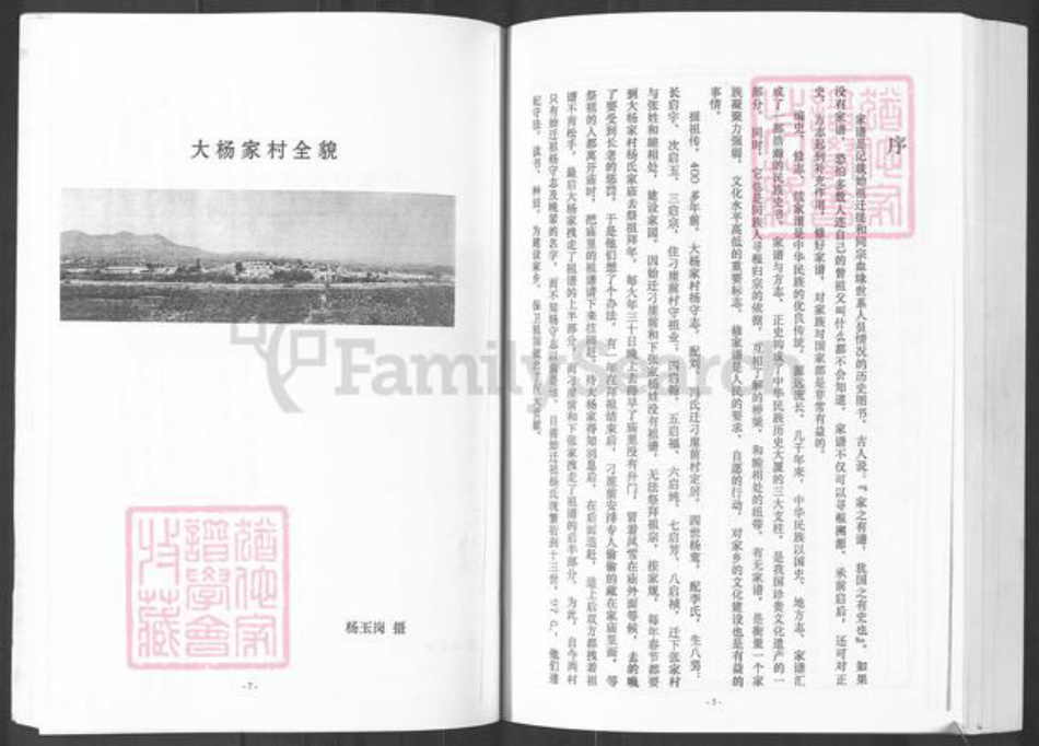 山东省烟台市莱州市柞村镇杨氏族谱-栖霞下张家村杨氏家谱.pdf电子版插图5