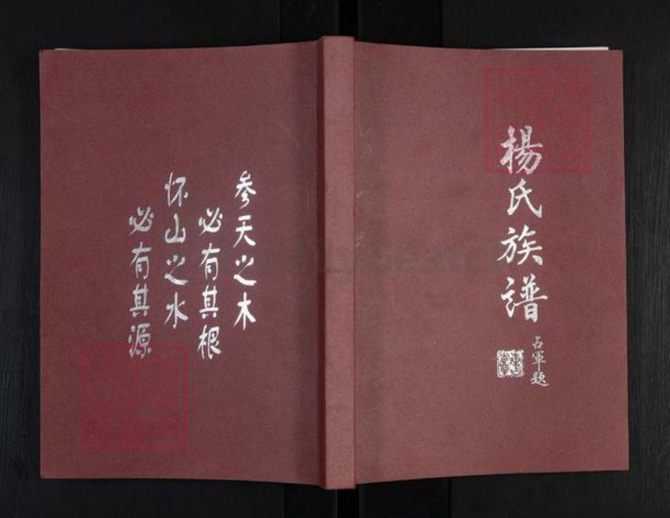 河南省周口市商水县黄寨镇杨氏四知堂族谱-杨氏族谱.pdf电子版