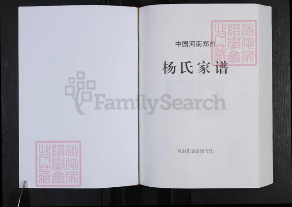 河南省郑州市登封市杨氏族谱-中国郑州杨氏家谱.pdf电子版插图1 河南省郑州市登封市杨氏族谱-中国郑州杨氏家谱.pdf电子版插图1