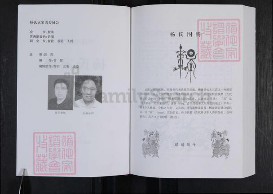 河南省郑州市登封市杨氏族谱-中国郑州杨氏家谱.pdf电子版插图2 河南省郑州市登封市杨氏族谱-中国郑州杨氏家谱.pdf电子版插图2