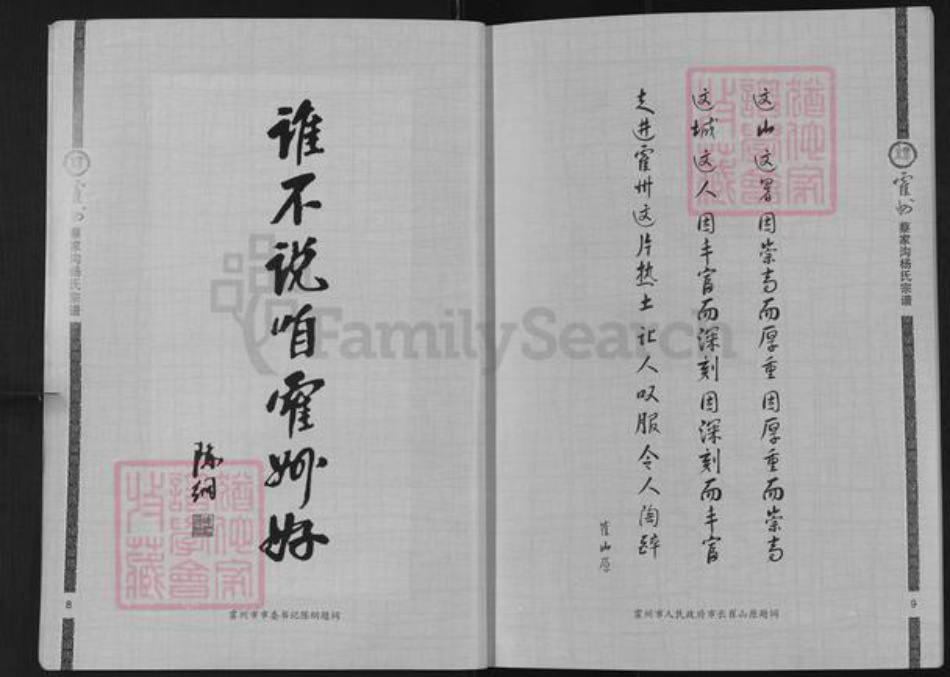 山西省临汾市霍州市师庄乡杨氏族谱-霍州蔡家沟杨氏宗谱.pdf电子版插图4 山西省临汾市霍州市师庄乡杨氏族谱-霍州蔡家沟杨氏宗谱.pdf电子版插图4