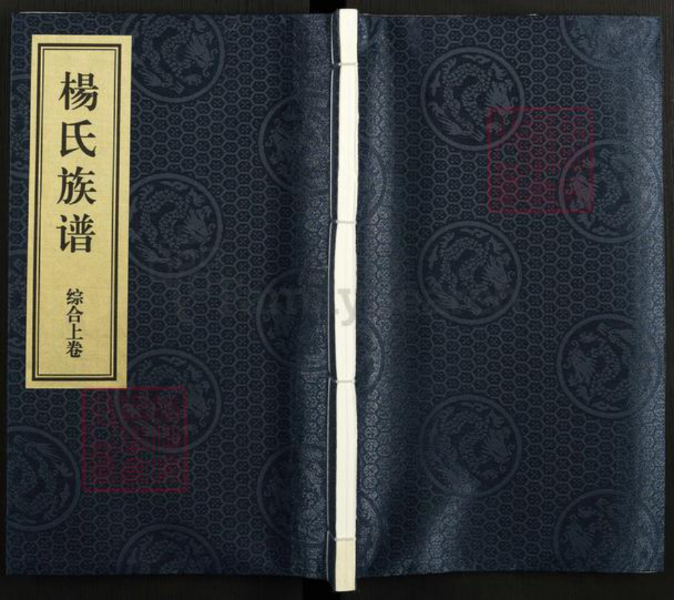 山东省济南市章丘区杨氏族谱-杨氏族谱.pdf电子版