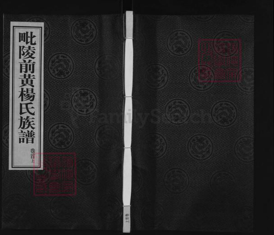 江苏省常州市武进县前黄镇杨氏怀云堂族谱-毗邻前黄杨氏族谱.pdf电子版