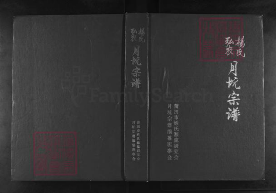 福建省莆田市秀屿区东庄镇杨氏族谱-弘农杨氏月坑宗谱.pdf电子版