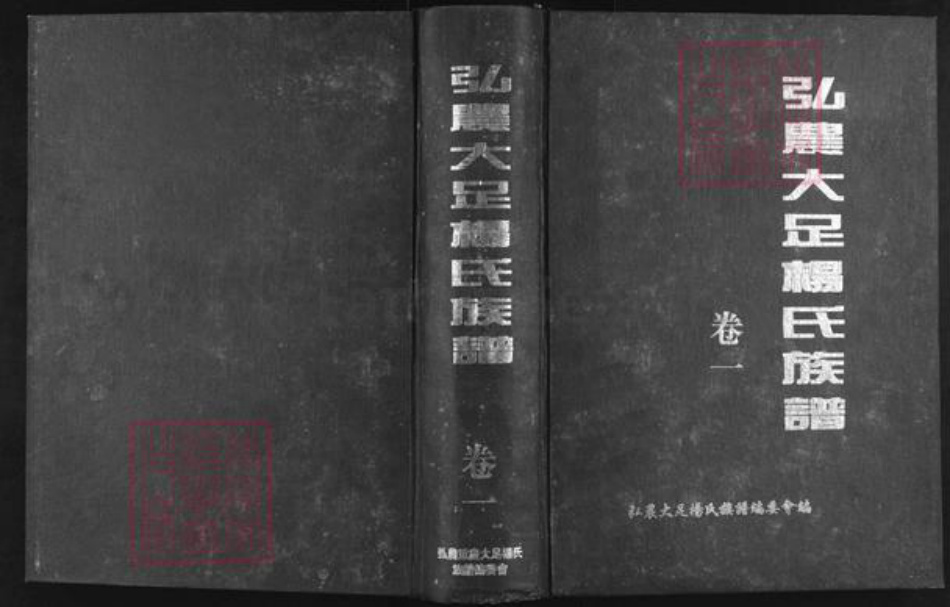 重庆市大足区中敖镇杨氏族谱-弘农大足杨氏族谱.pdf电子版