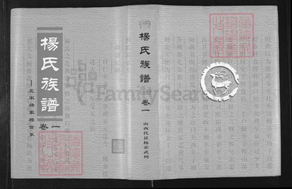 山西省忻州市代县枣林镇杨氏族谱-杨氏族谱.北宋杨家将世系.pdf电子版
