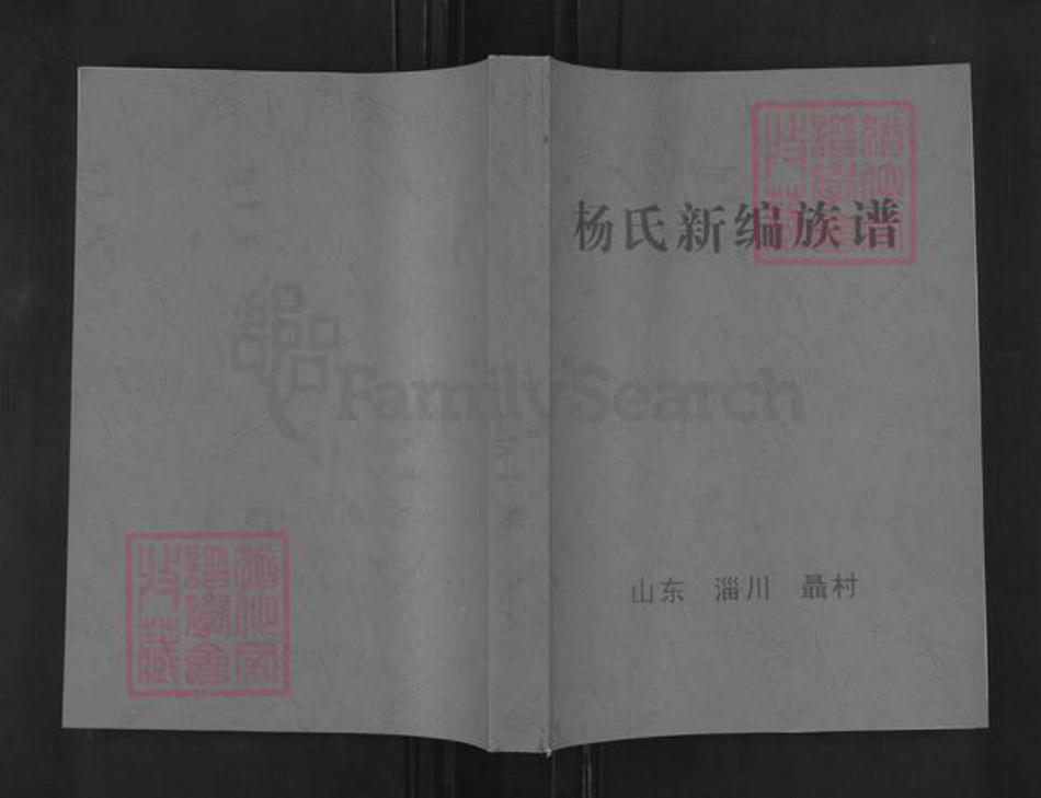 山东省淄博市淄川区杨氏族谱-杨氏新编族谱.pdf电子版