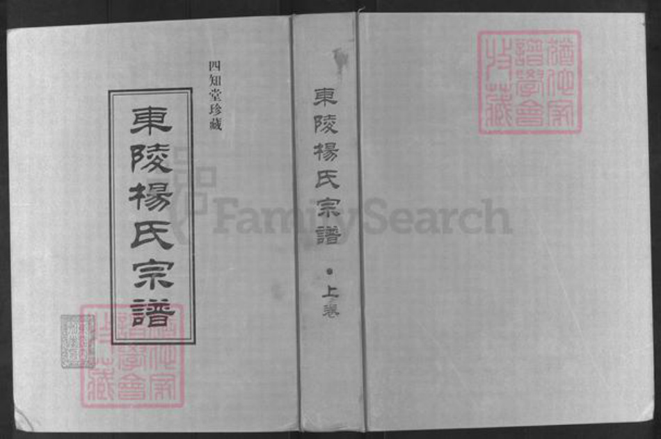 江苏省常州市溧阳市杨氏四知堂族谱-东陵杨氏宗谱.pdf电子版