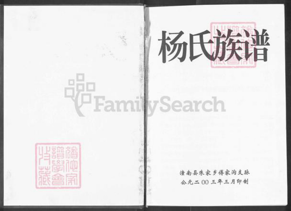 重庆市潼南区崇龛镇杨氏族谱-杨氏族谱.pdf电子版插图1