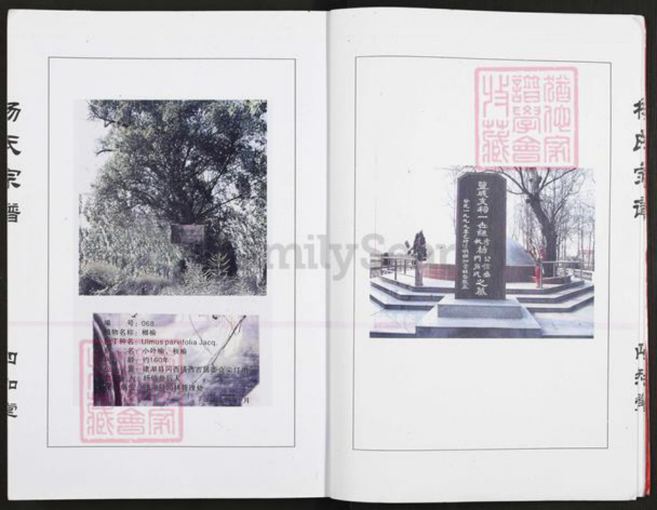 江苏省盐城市建湖县冈西镇杨氏四知堂族谱-杨氏宗谱.pdf电子版插图4 江苏省盐城市建湖县冈西镇杨氏四知堂族谱-杨氏宗谱.pdf电子版插图4