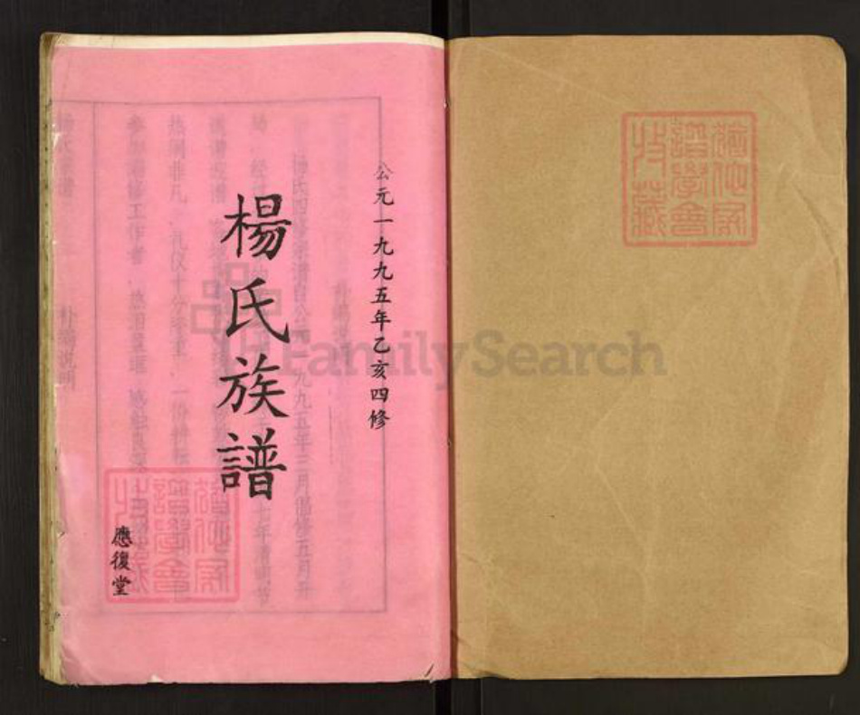 湖南省衡阳市常宁市杨氏应复堂族谱-应复杨世宗谱.pdf电子版插图1