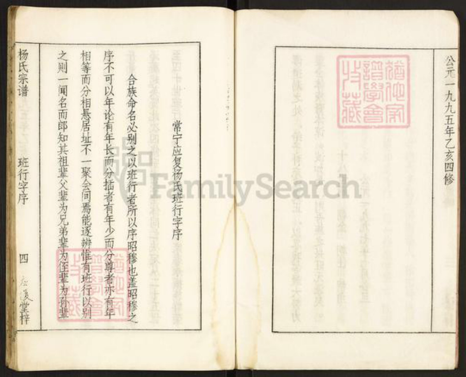 湖南省衡阳市常宁市杨氏应复堂族谱-应复杨世宗谱.pdf电子版插图4