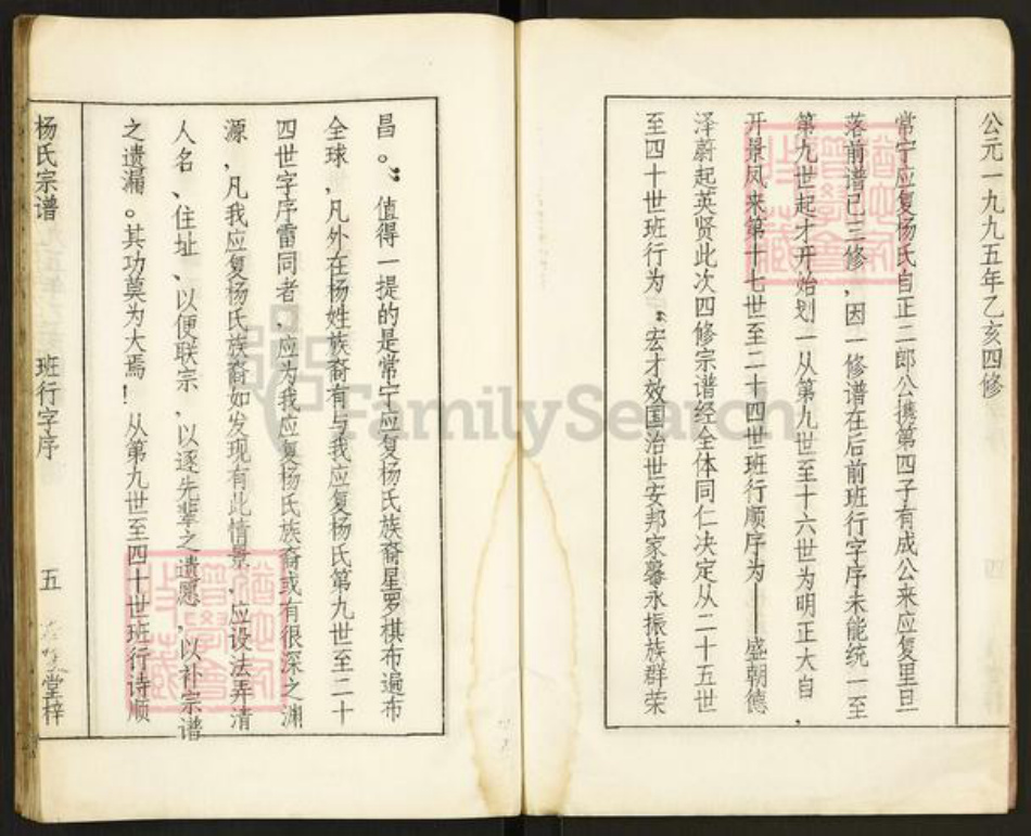 湖南省衡阳市常宁市杨氏应复堂族谱-应复杨世宗谱.pdf电子版插图5