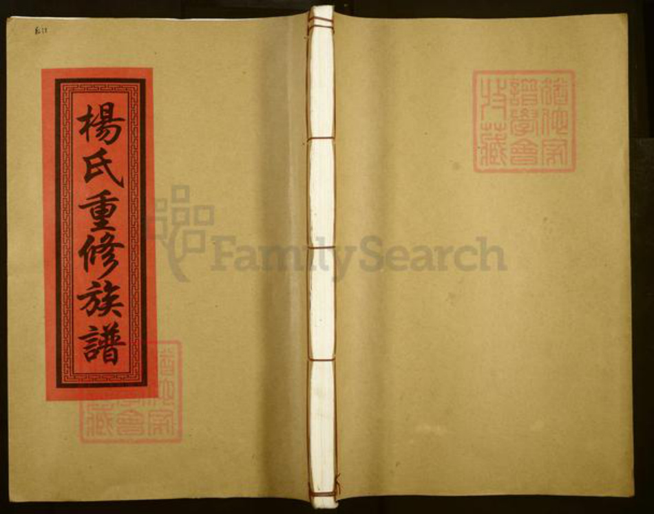 江西省宜春市丰城市杨氏敦睦堂族谱-杨氏重修族谱.pdf电子版