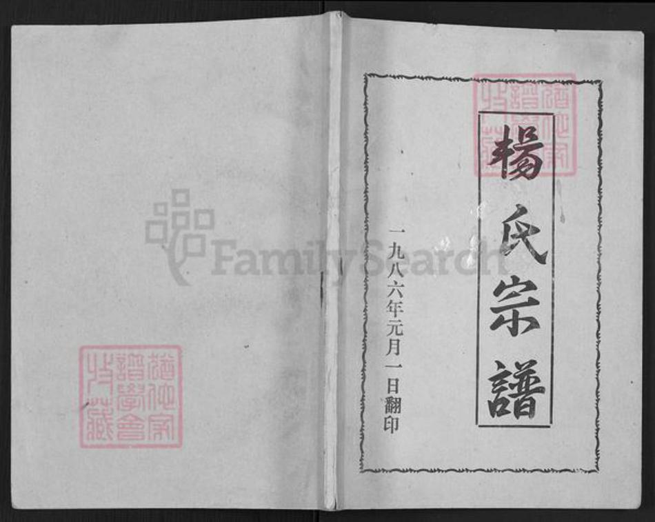 辽宁省辽阳市灯塔市杨氏族谱-杨氏宗谱.pdf电子版插图