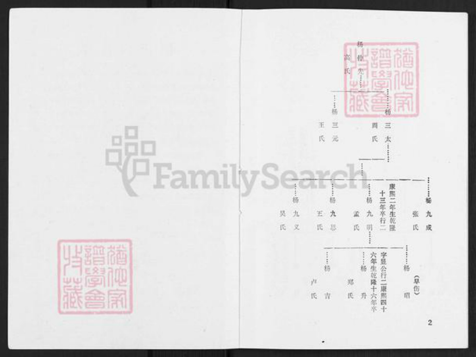 辽宁省辽阳市灯塔市杨氏族谱-杨氏宗谱.pdf电子版插图2