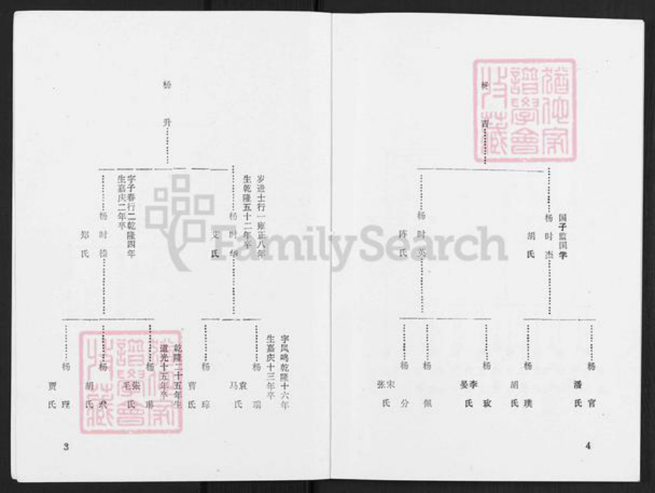 辽宁省辽阳市灯塔市杨氏族谱-杨氏宗谱.pdf电子版插图3