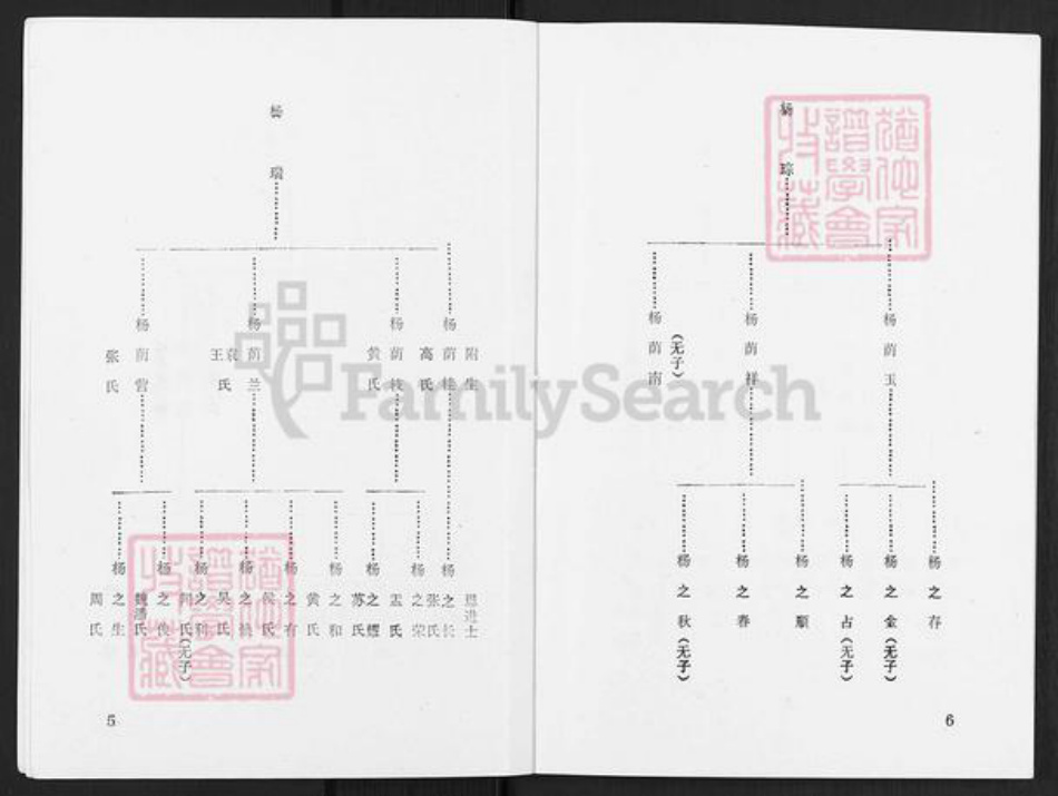 辽宁省辽阳市灯塔市杨氏族谱-杨氏宗谱.pdf电子版插图4