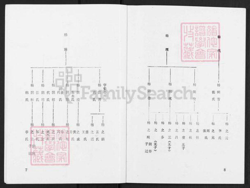 辽宁省辽阳市灯塔市杨氏族谱-杨氏宗谱.pdf电子版插图5