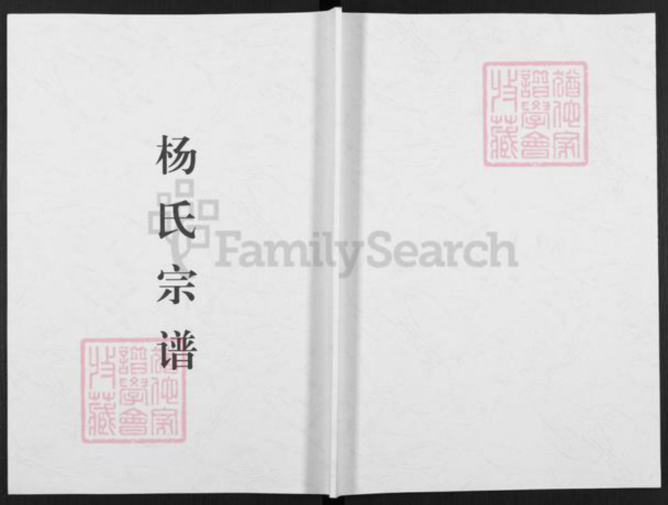 河南省洛阳市偃师市缑氏镇杨氏族谱-杨氏宗谱.pdf电子版插图