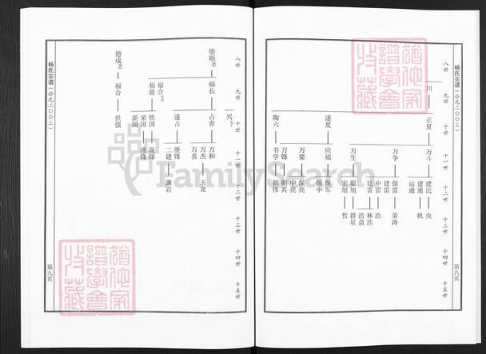 河南省洛阳市偃师市缑氏镇杨氏族谱-杨氏宗谱.pdf电子版插图5