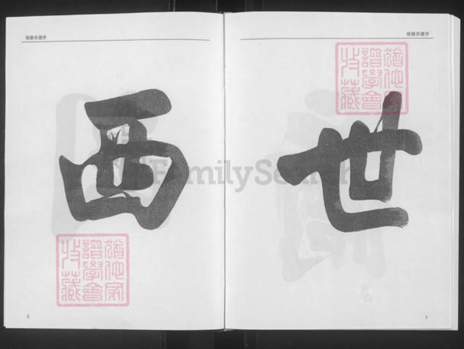 安徽省安庆市怀宁县杨氏贻经堂族谱-杨氏宗谱.pdf电子版插图5 安徽省安庆市怀宁县杨氏贻经堂族谱-杨氏宗谱.pdf电子版插图5