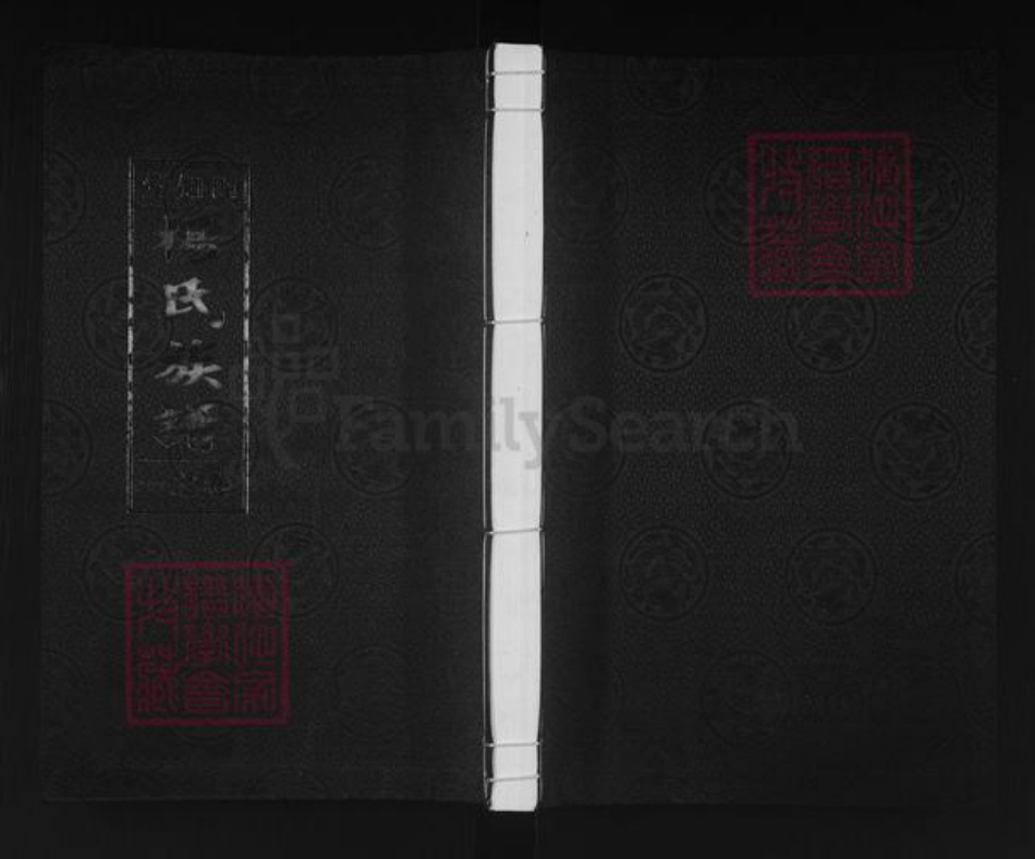 江苏省泰州市泰兴市杨氏四知堂族谱-杨氏族谱.pdf电子版