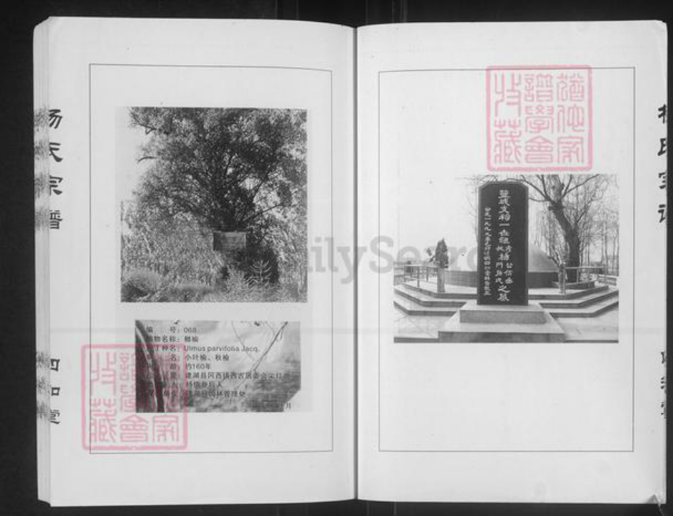 江苏省盐城市建湖县杨氏四知堂族谱-杨氏宗谱.西门支系.pdf电子版插图4 江苏省盐城市建湖县杨氏四知堂族谱-杨氏宗谱.西门支系.pdf电子版插图4