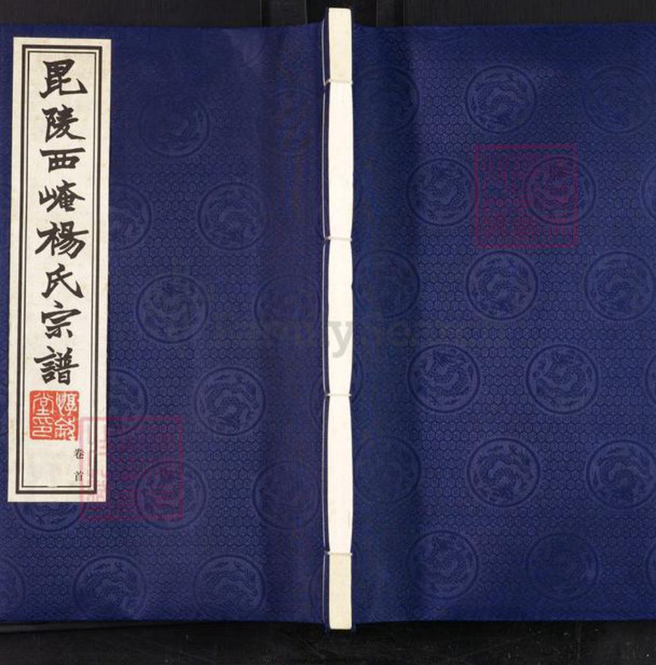 江苏省常州市武进县杨氏惇叙堂族谱-毘陵西崦杨氏宗谱.pdf电子版
