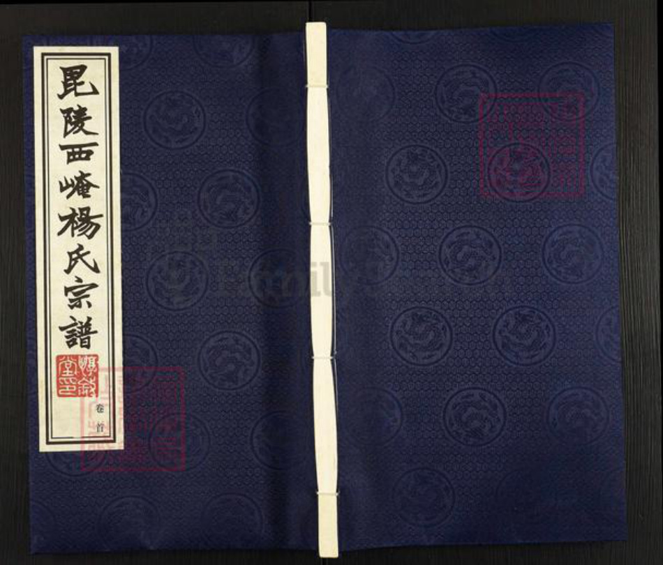 江苏省常州市武进县杨氏惇叙堂族谱-毘陵西崦杨氏族谱.pdf电子版