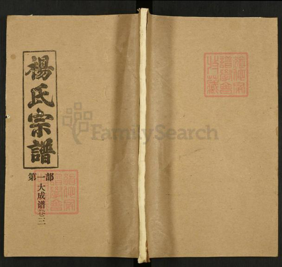 湖北省武汉市新洲区杨氏四知堂族谱-杨氏宗谱.pdf电子版
