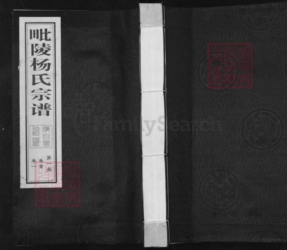江苏省常州市天宁区杨氏清白堂族谱-毗陵杨氏宗谱.pdf电子版