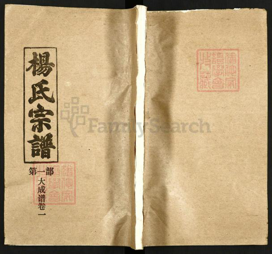 湖北省杨氏四知堂族谱-杨氏宗谱.pdf电子版