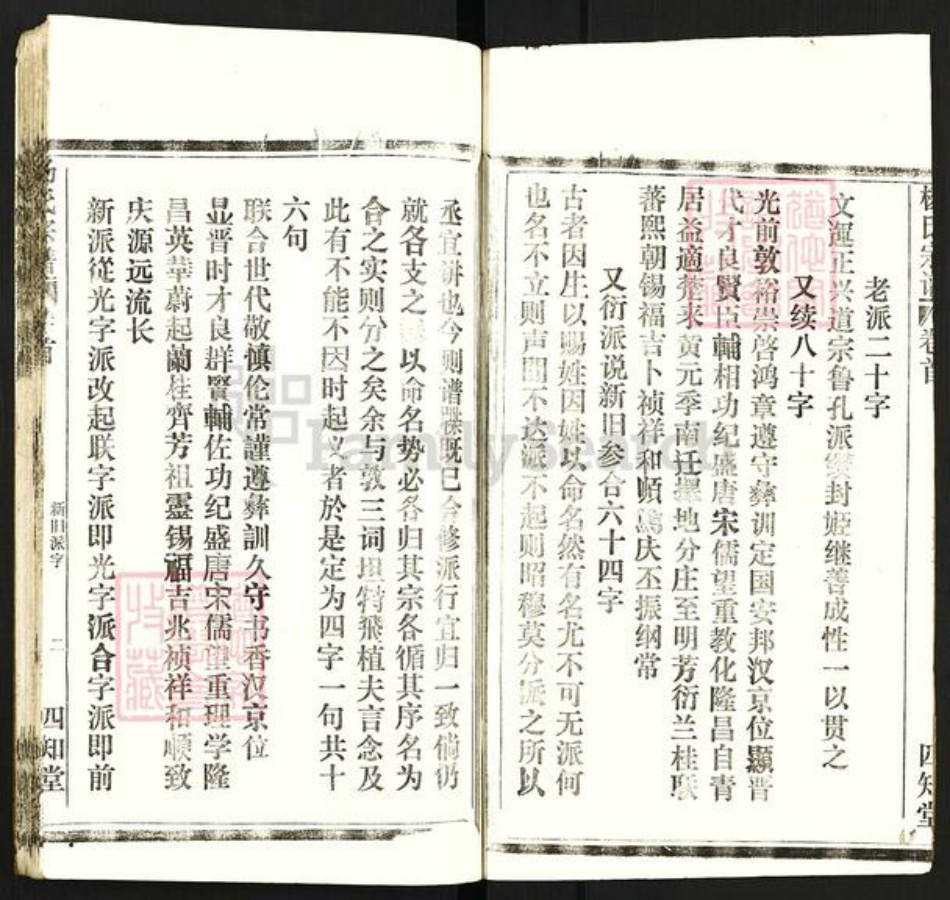 湖北省杨氏四知堂族谱-杨氏宗谱.pdf电子版插图2 湖北省杨氏四知堂族谱-杨氏宗谱.pdf电子版插图2