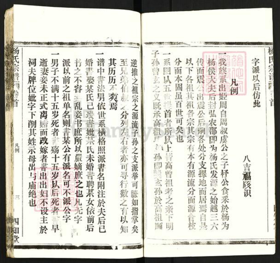 湖北省杨氏四知堂族谱-杨氏宗谱.pdf电子版插图3 湖北省杨氏四知堂族谱-杨氏宗谱.pdf电子版插图3