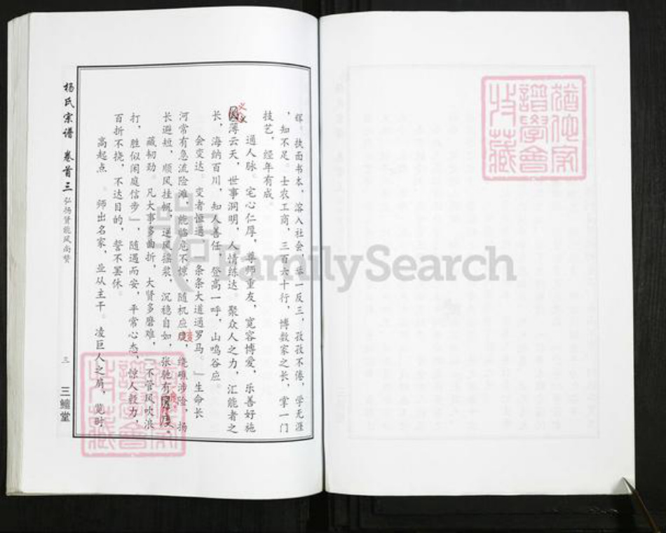 湖北省武汉市新洲区杨氏三鳣堂族谱-杨氏宗谱.pdf电子版插图3