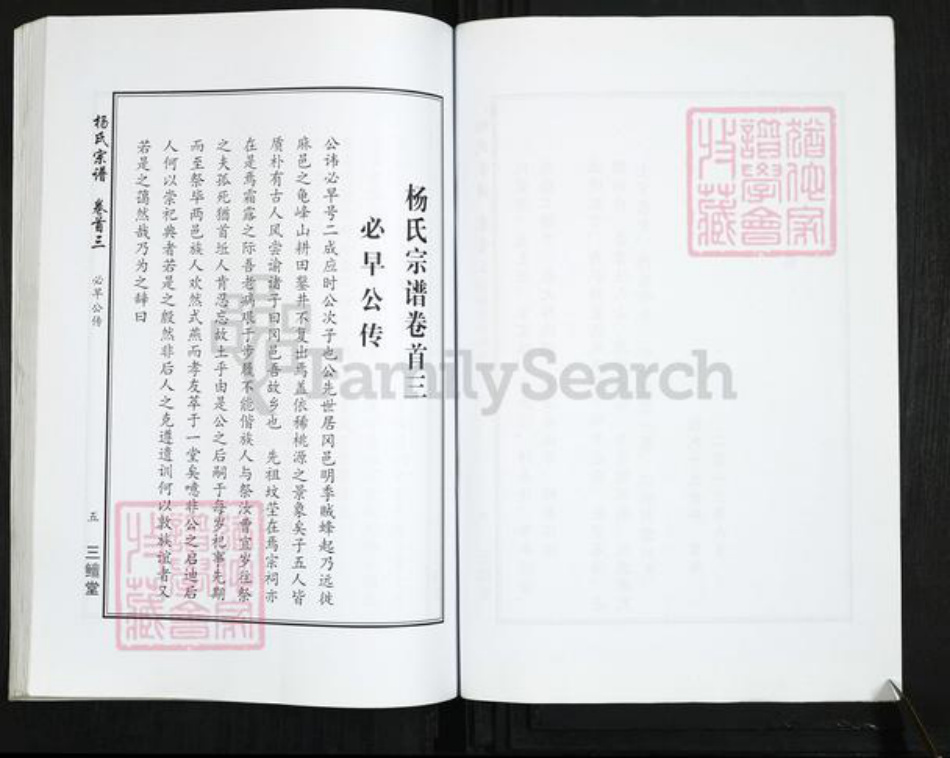 湖北省武汉市新洲区杨氏三鳣堂族谱-杨氏宗谱.pdf电子版插图5
