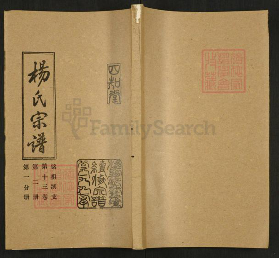 湖北省孝感市大悟县杨氏四知堂族谱-杨氏宗谱.pdf电子版