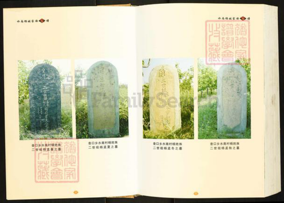 陕西省延安市宜川县杨氏族谱-水南杨姓家族家谱.pdf电子版插图3 陕西省延安市宜川县杨氏族谱-水南杨姓家族家谱.pdf电子版插图3