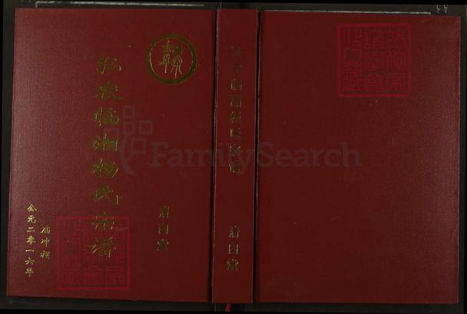 湖南省岳阳市杨氏清白堂族谱-弘农临湘杨氏宗谱.pdf电子版