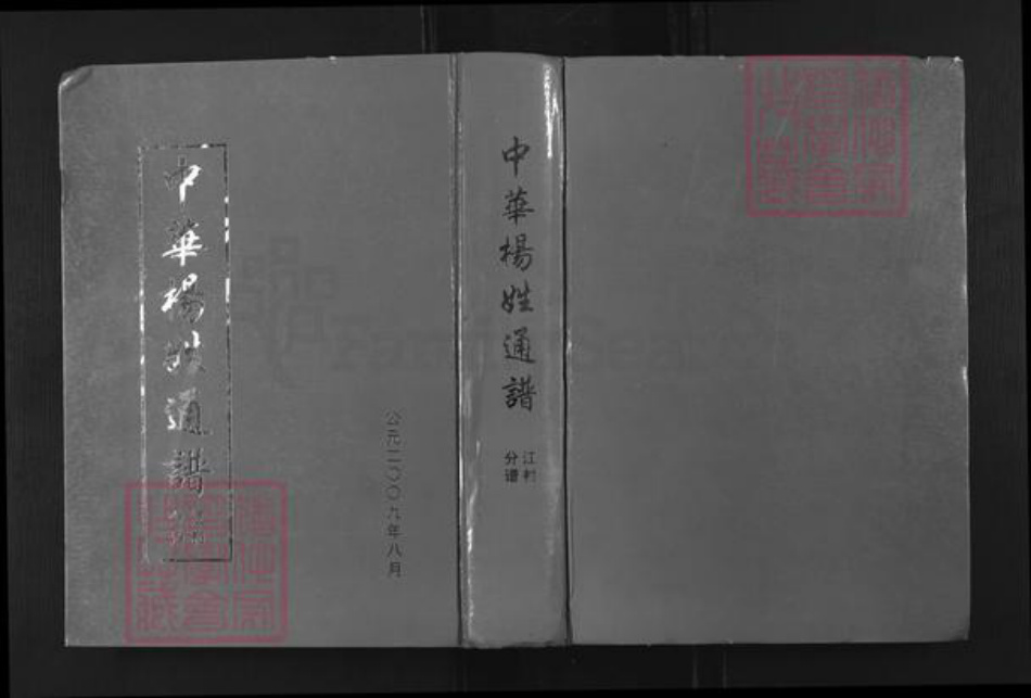 湖南省邵阳市新邵县杨氏族谱-中华杨姓通谱.江村分谱.pdf电子版