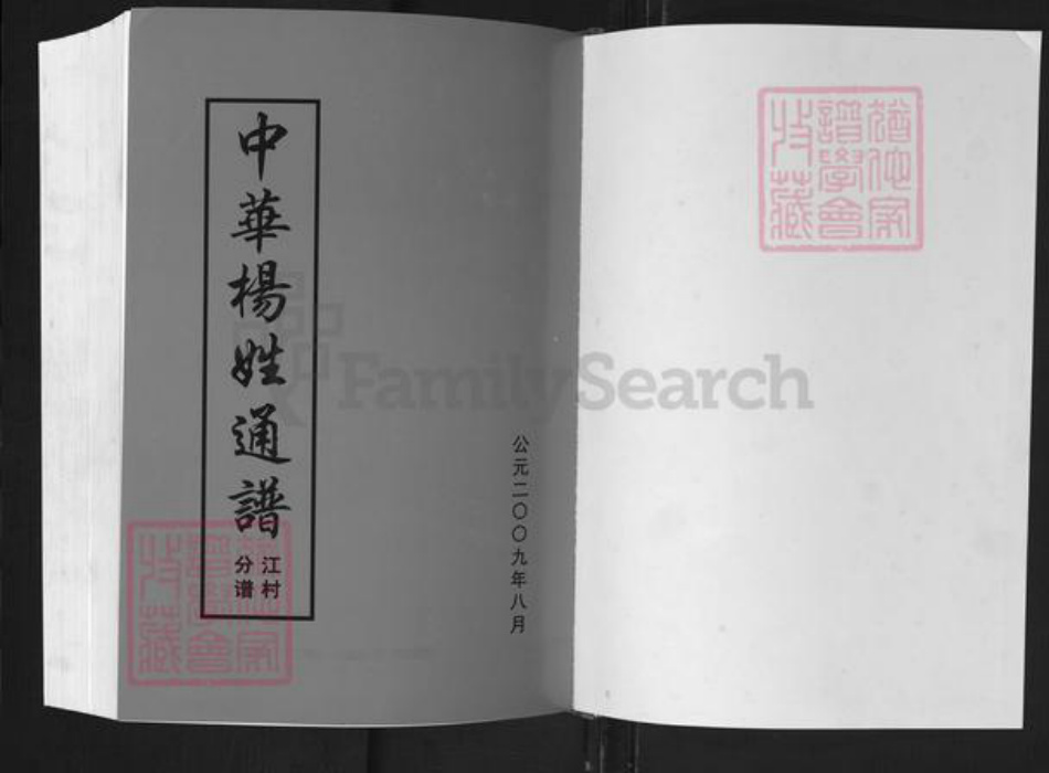 湖南省邵阳市新邵县杨氏族谱-中华杨姓通谱.江村分谱.pdf电子版插图1