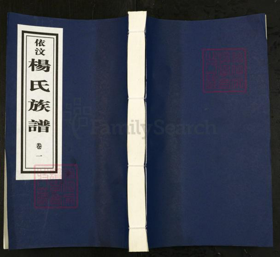 山东省临沂市沂南县依汶镇杨氏族谱-依汶杨氏族谱.pdf电子版
