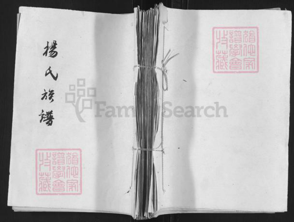 山东省济宁市嘉祥县万张街道杨氏族谱-杨氏族谱.pdf电子版