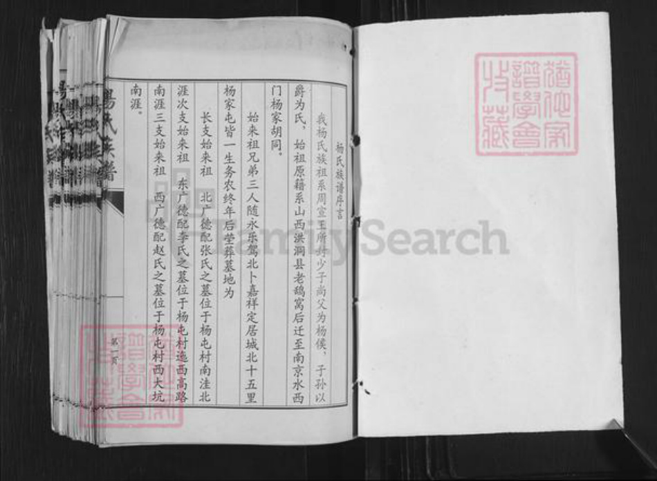 山东省济宁市嘉祥县万张街道杨氏族谱-杨氏族谱.pdf电子版插图1 山东省济宁市嘉祥县万张街道杨氏族谱-杨氏族谱.pdf电子版插图1