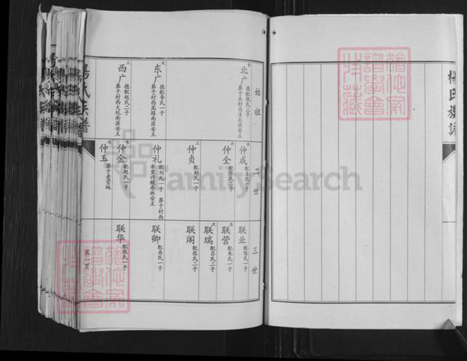 山东省济宁市嘉祥县万张街道杨氏族谱-杨氏族谱.pdf电子版插图5 山东省济宁市嘉祥县万张街道杨氏族谱-杨氏族谱.pdf电子版插图5